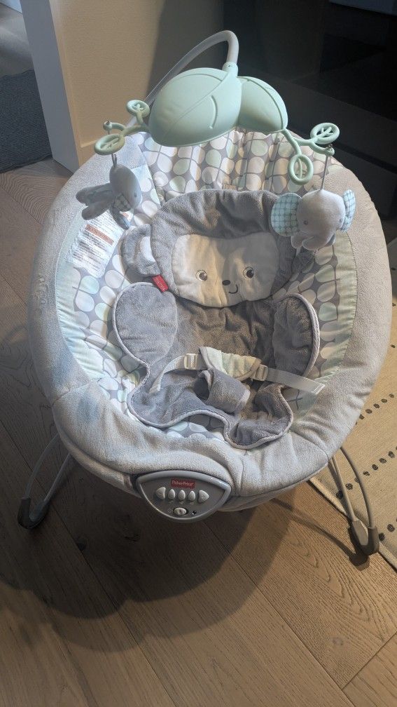 Fisher Price Baby Bouncer 