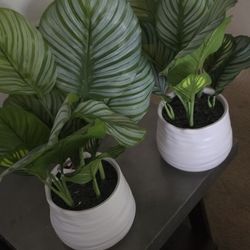 Artificial Plants