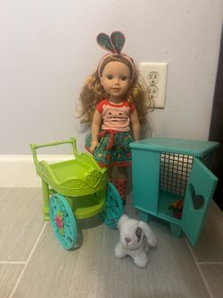 American girl Wellie wisher collection