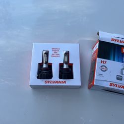Headlight bulbs