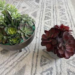 Decorations Plants