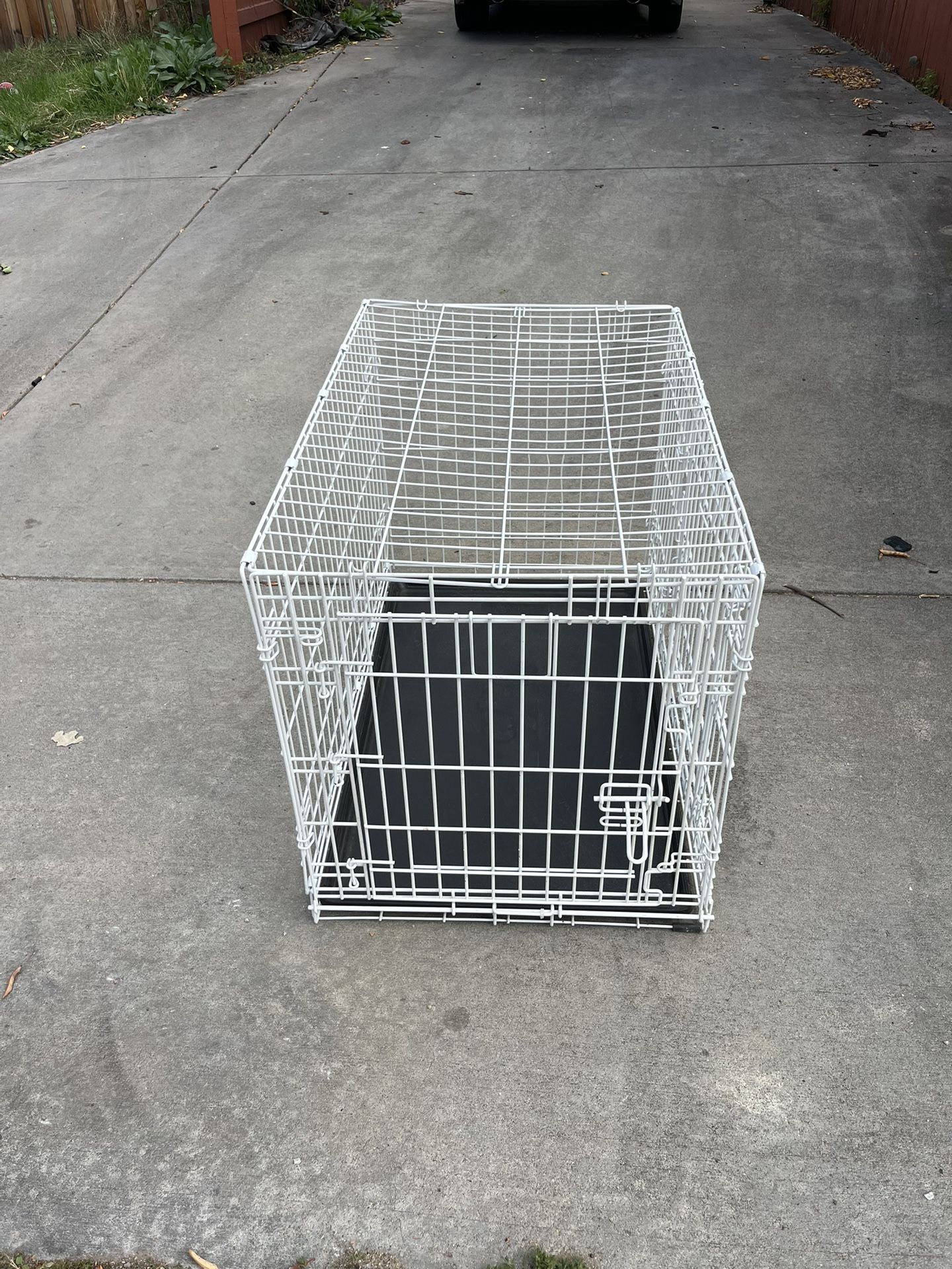 Metal Wire Dog Crate with Tray, Double Door, 36 x 23 x 25 in