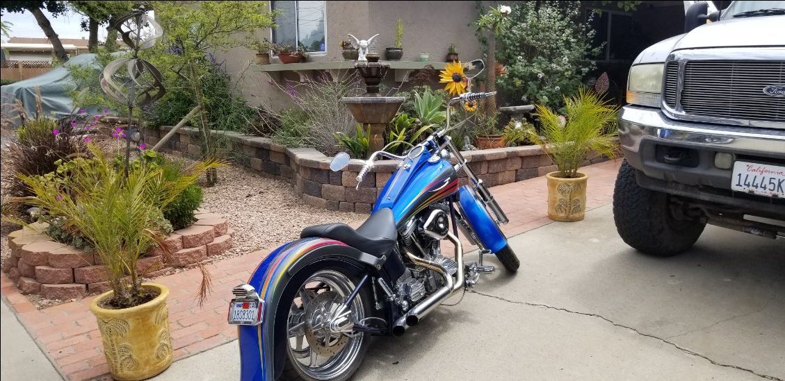 1998 custom Harley Davidson Softtail