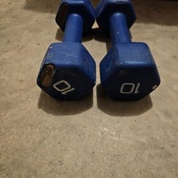 10lb Dumbell Weight Set