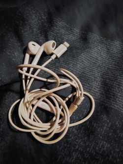 Apple Earbuds