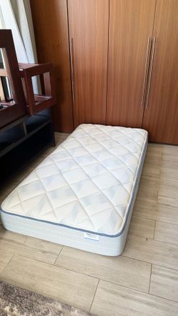 Therapedic Edington Twin Mattress