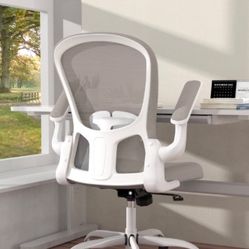 Silybon. Ergonomic Office Chair