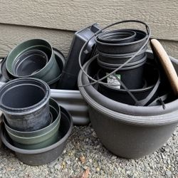 plant pots