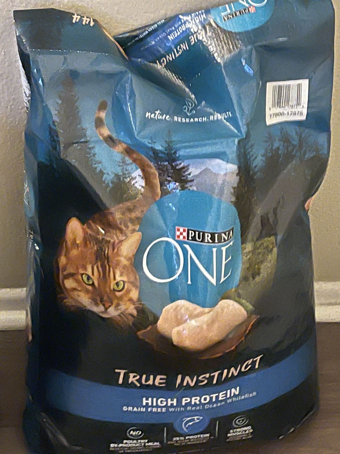 Purina Dry Cat Food