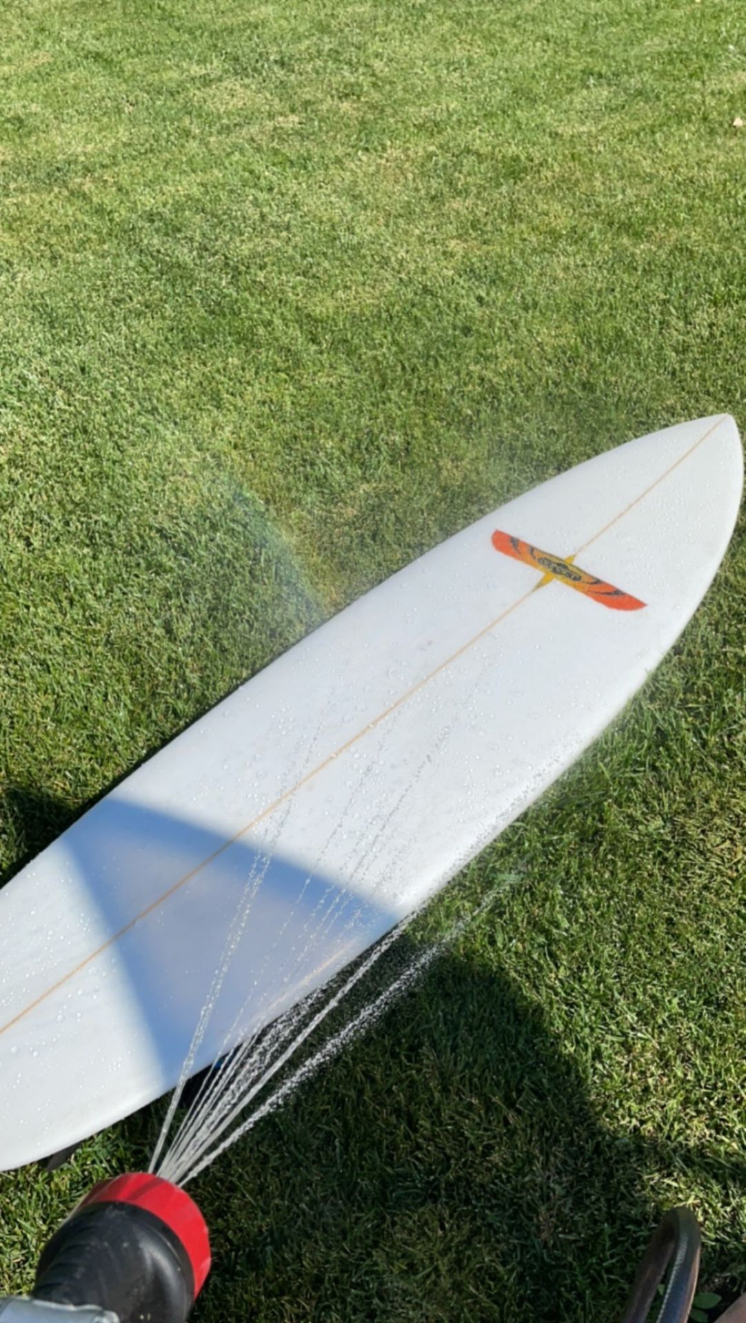 Hand Shaped Fish Surfboard