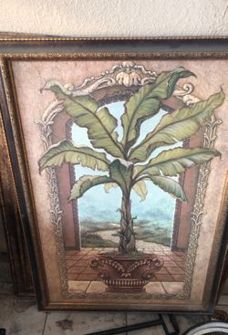 Picture 38 in long and 28 inch wide