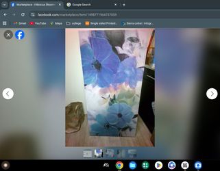 hibiscus bloomscanvas wall art by IVO STOYANOV