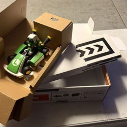 Mario Kart Live - Luigi