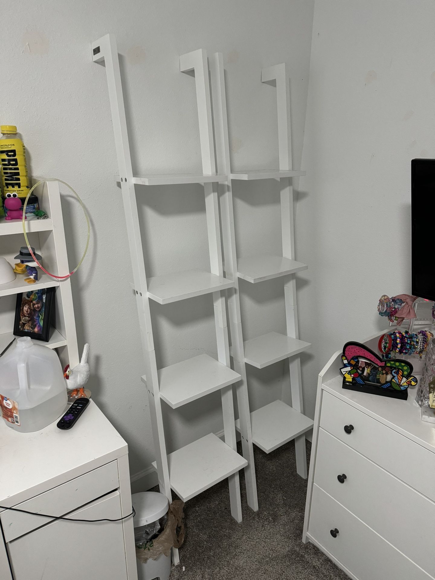 Ladder Shelves
