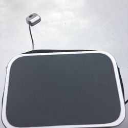 Lab tub / computer holder with a light