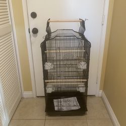 Birds Cage 