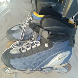 Nike Skate Shoes