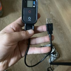 GoPro Wireless Controller 