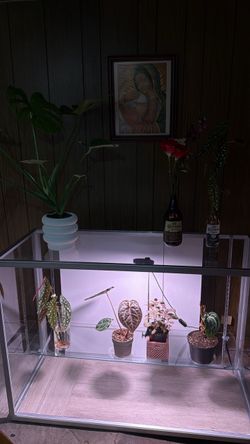 Glass display