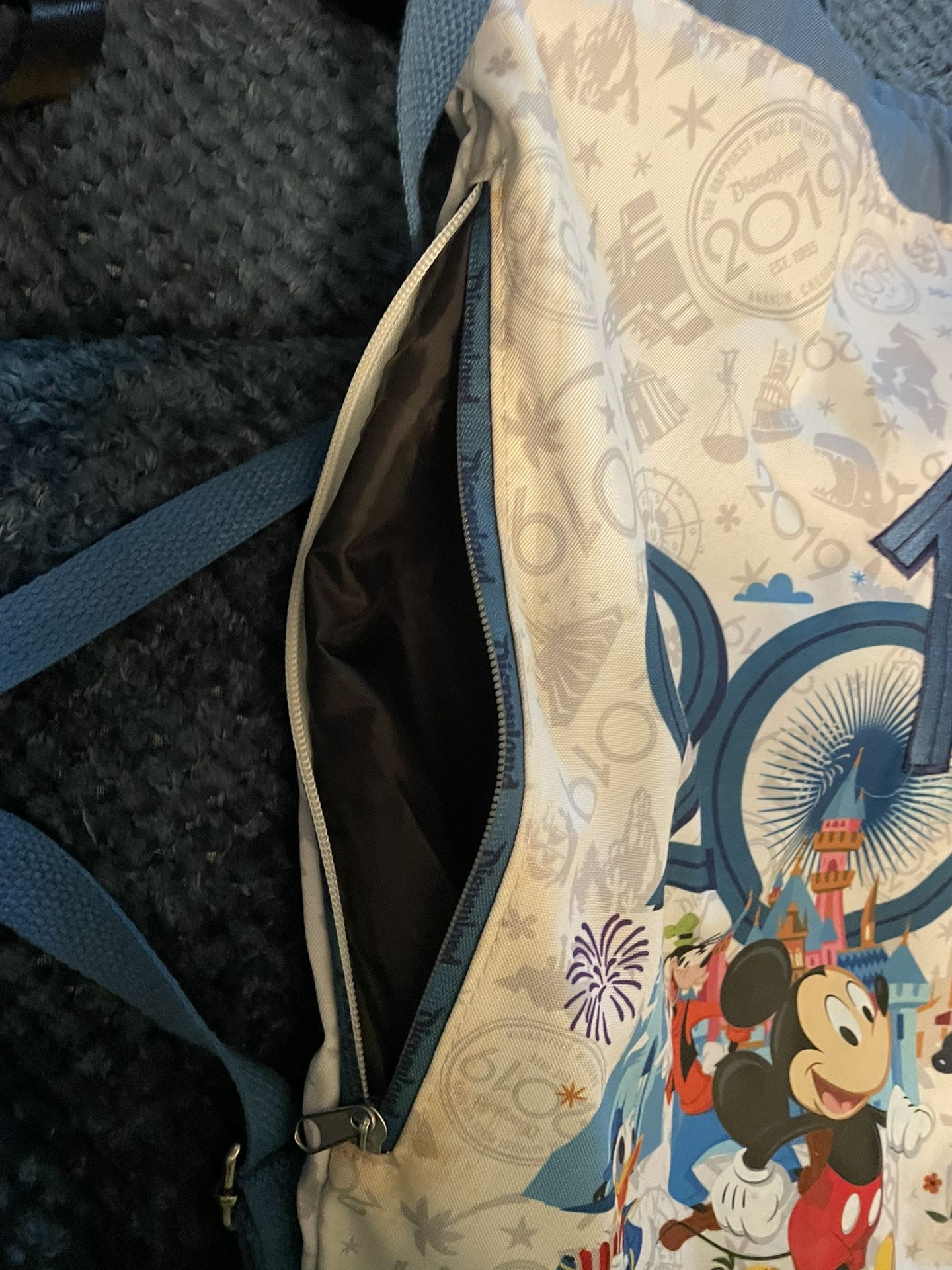 2019 Disneyland Backpack 
