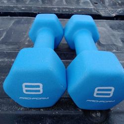 Pair Of 8 Lb Rubber Coated Iron Hex Dumbbells 16 Lb Total Weight New