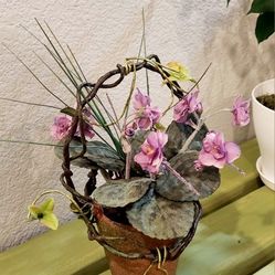 Silk Flowers 🌱 11"H Purple Flowers on 5"H Clay Pot 