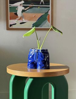 Ceramic Denim Jeans Planter + Baby Monstera Deliciosa