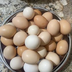 Organic Great Eggs Per Dozen