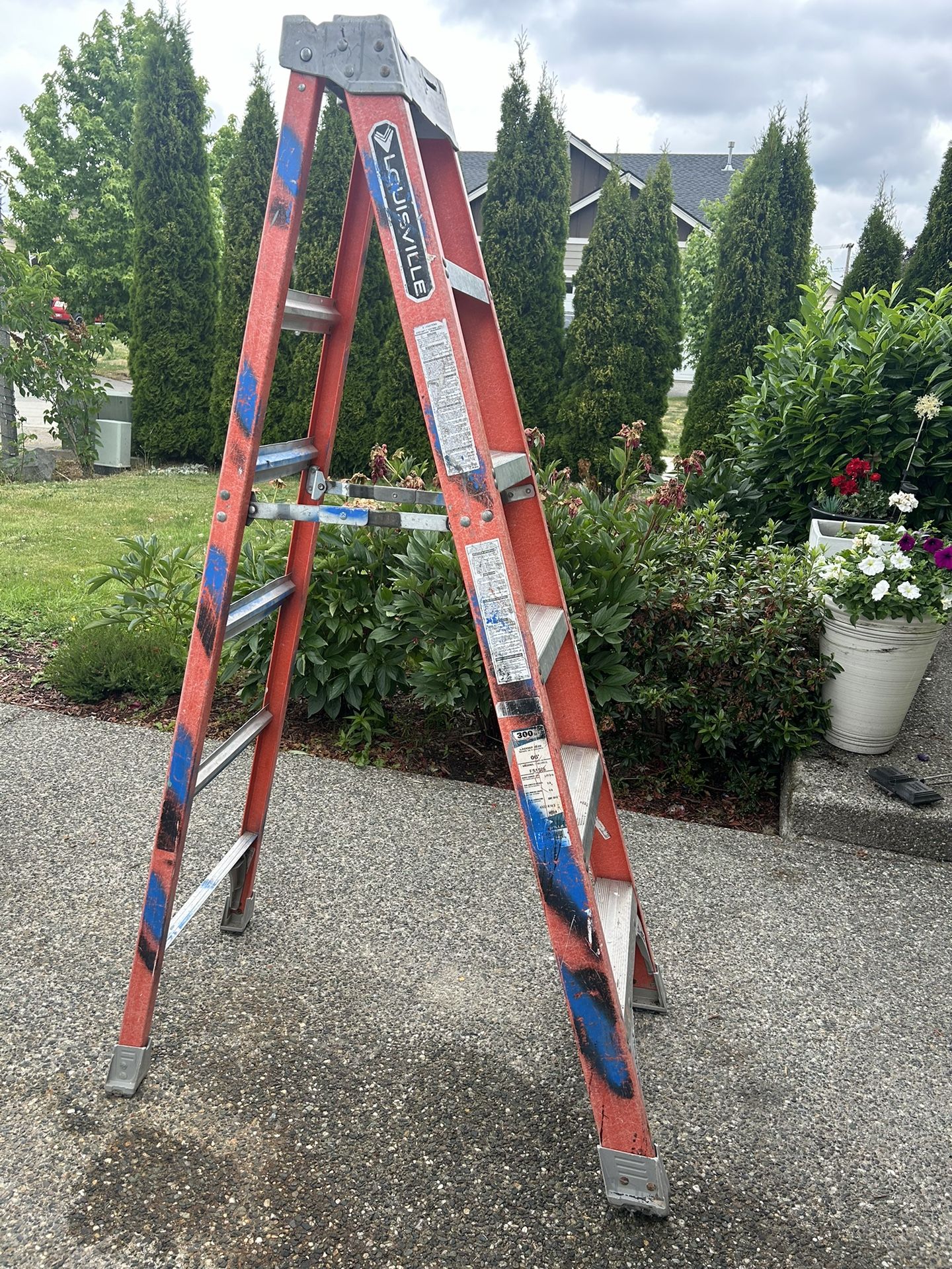 Ladder