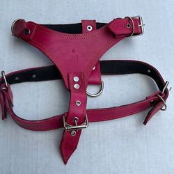 Leather Harness For Dog 
