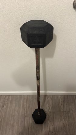 55lb barbell / weights