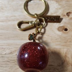 Beautiful Stylish Apple Women's Purse Charm 