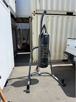 Everlast Punching Bag