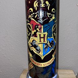 Harry Potter Mistake Cup 