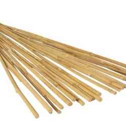 Grow It Bamboo plant stakes 