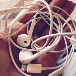 Apple Earbuds 