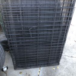 Dog Cage 