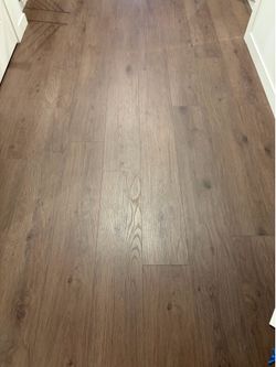 LVP floor and carpet