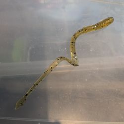 Auger tail worms
