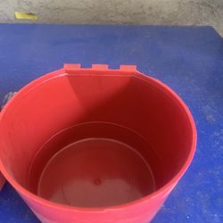 Water Cups