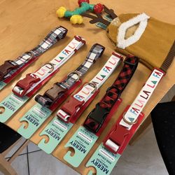 Dog Collars