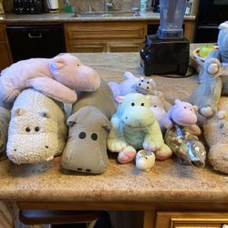 Hippo Collection