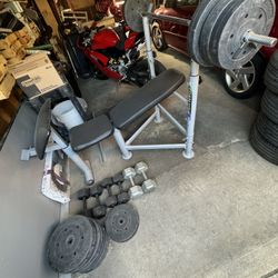 Weight Bench With Weights 