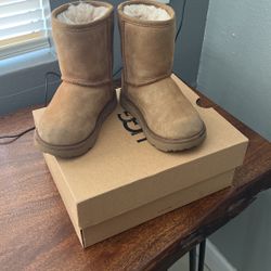 Toddler Uggs Size 8