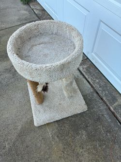 Cat condo
