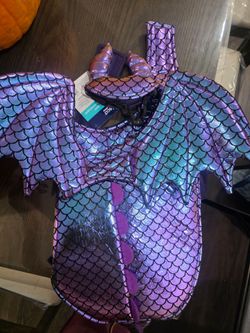 Iridescent Dragon Pet Halloween Costume