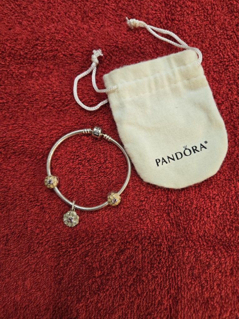 Pandora Sterling Silver Clasp Bracelet