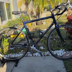 Beautiful Trek Pilot 5.2 Carbon X-Large Road Bike