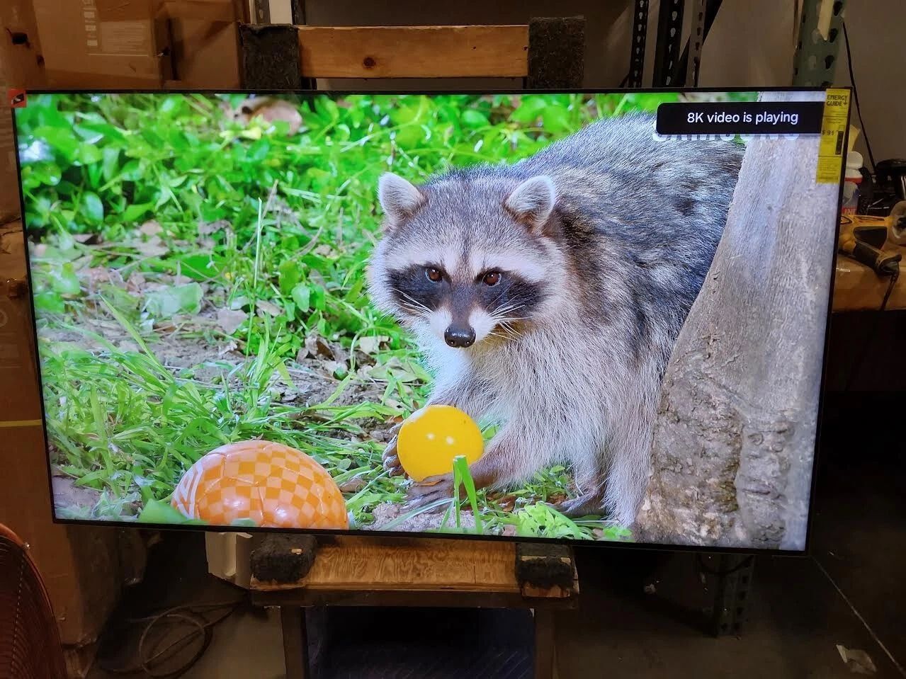 Samsung QN65QN800DFXZA 65" Neo QLED 8K Smart TV with AI Motion Enhancer