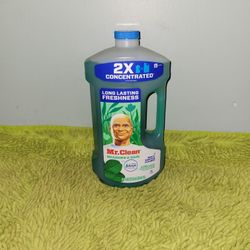 Mr Clean Meadow & Rain Febreze 64oz